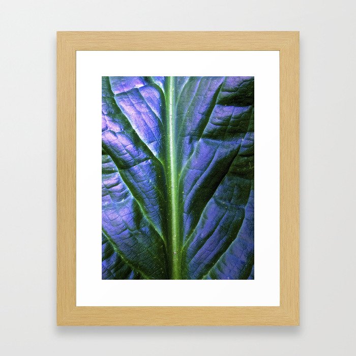 Purple Green Leaf Framed Art Print