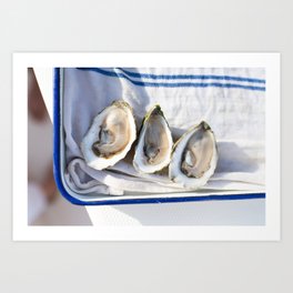 Oysters on Duxbury Bay Art Print