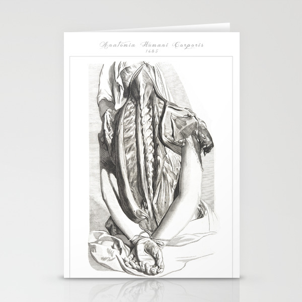Human Anatomy Art Print Bones Back Muscle Vintage Anatomy Doctor Medical Art Antique Book Plate Stationery Cards By Frenchfineart Society6