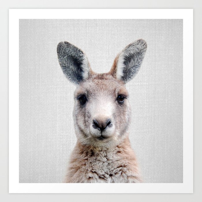 Kangaroo - Colorful Art Print by galdesign | Society6