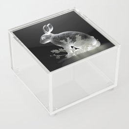 Glass Rabbit - Cute Animals Acrylic Box