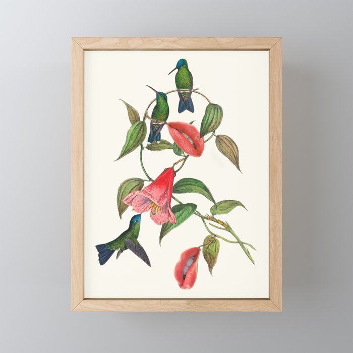 Hummingbirds Framed Mini Art Print