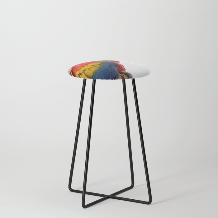 Colorful Macaw Parrot Bird Rainbow Photographs Pattern Cutest Counter Stool