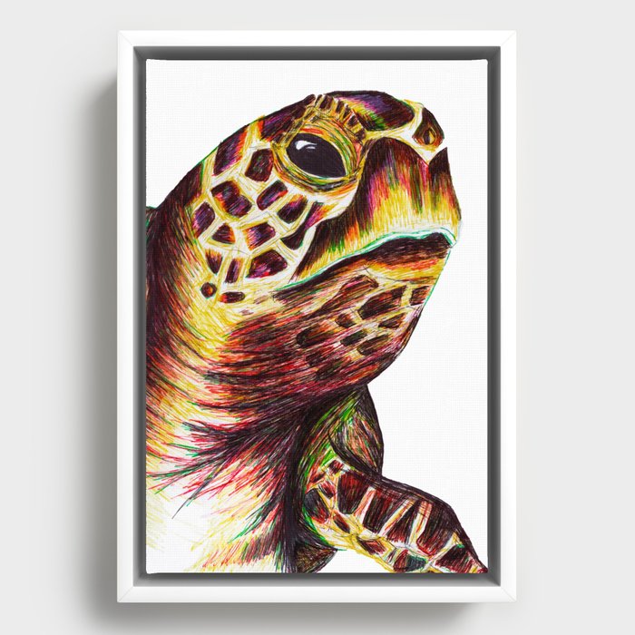 Pen drawing turtle Framed Canvas