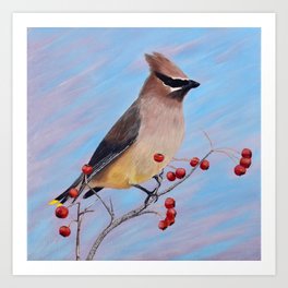 Cedar Waxwing Art Prints Society6