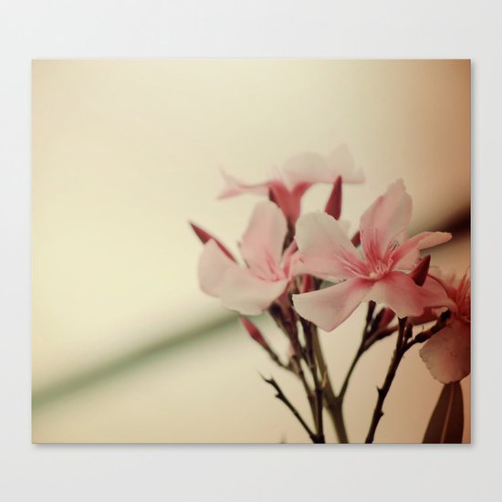 Pink Canvas Print
