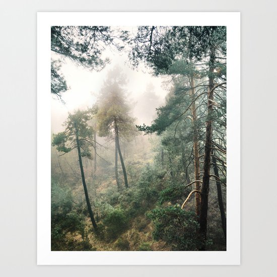 "Into the woods". Wandering into the fog Art Print