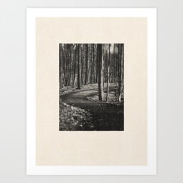 PHOTO NOIR / Landscape 05 - Forest Path I Art Print