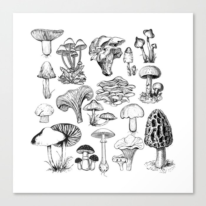 Mushrooms Print Canvas Print