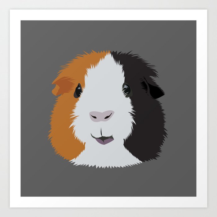 Guinea pig black white cheap