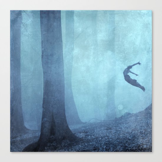 free spirit II Canvas Print