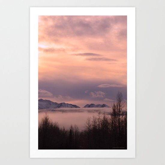Rose Serenity Winter Fog - II Art Print