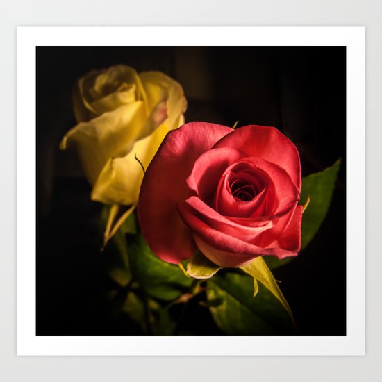 Two Roses Art Print
