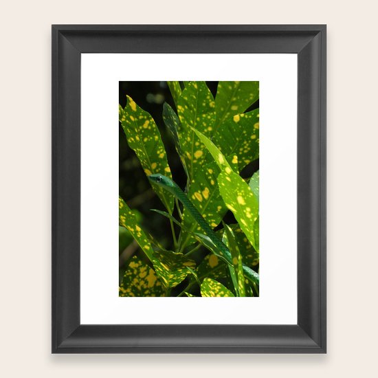 Camouflage Framed Art Print