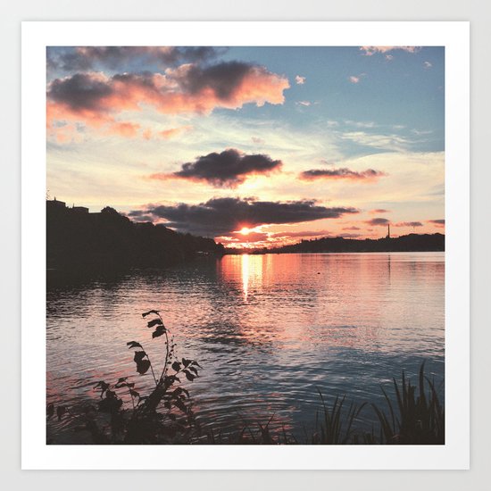S. 002 Art Print