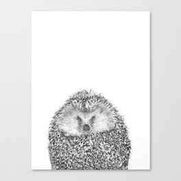 Black and White Hedgehog Canvas Print
