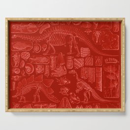 Dinosaur Fossil Red Serving Tray