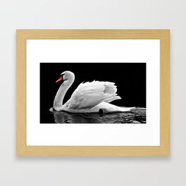 white water bird  Framed Art Print