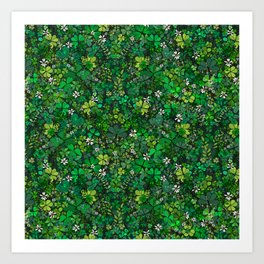 Shamrock Botanic Garden  Art Print | Paddysday, Wildflowers, Clovers, Green, Shamrock, Irishgarden, Greenshamrocks, Shamrocks, Drawing, Oxalis 