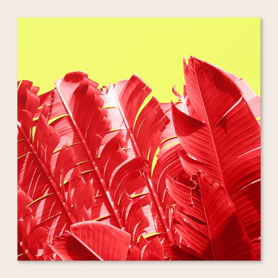 Light My Fire Canvas Print