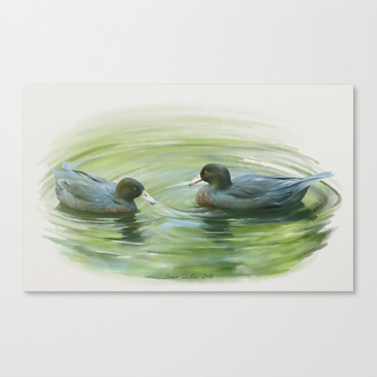 Blue Ducks in pond Canvas Print