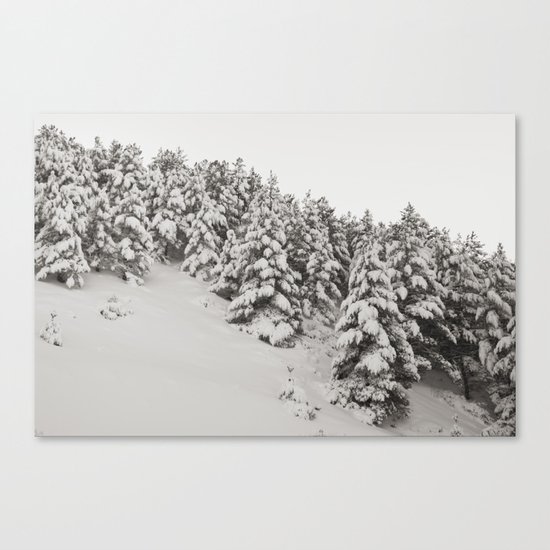 Snowy trees. Retro Canvas Print