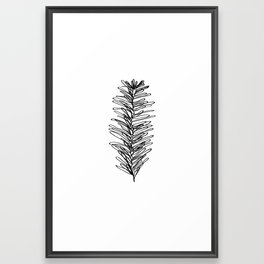 Small Pine Branch Framed Art Print