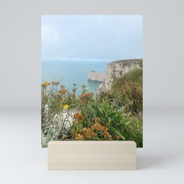 France Photography  Mini Art Print