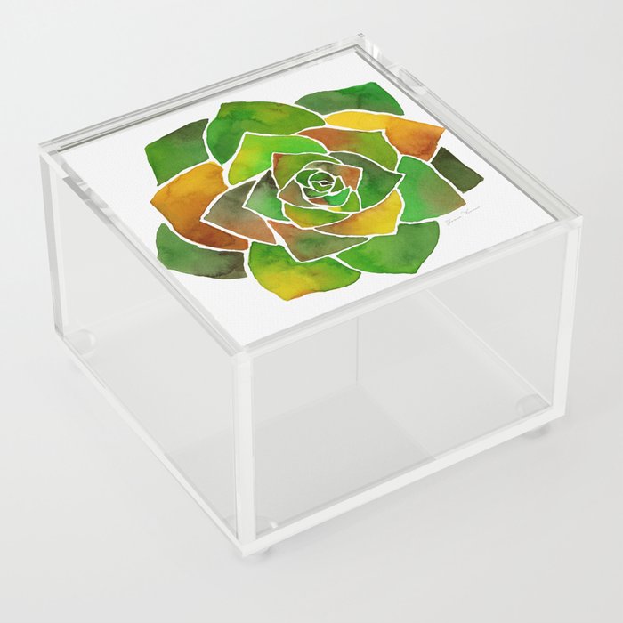 Green Succulent Watercolor Acrylic Box