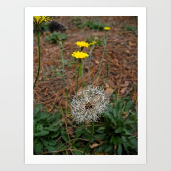 Changes Art Print