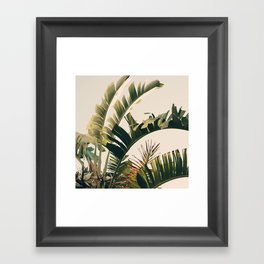Tropic Sky Framed Art Print