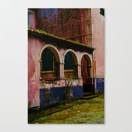 Pink Canvas Print