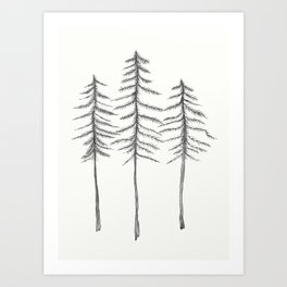 Pine Trees Pen and Ink Illustration Art Print