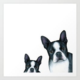 Dog 128 Boston Terrier Dogs black and white Art Print