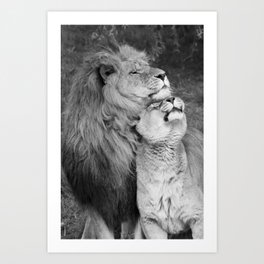 Lioness Art Prints For Any Decor Style Society6
