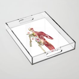Aesthetic Anatomy Acrylic Tray