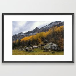 Misty forest in the valley of Gressoney near Monte Rosa during autumn Framed Art Print