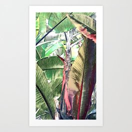 Banana forest Art Print