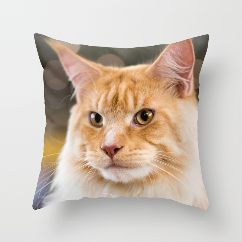 Red White Tabby Maine Coon Cat Close Up Portrait Throw Pillow By