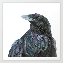 Falcon Stare Art Print | Nature, Halloween, Birds, Animal, Bird, Audobon, Game, Sarahsnippets, Collage, Black And White 