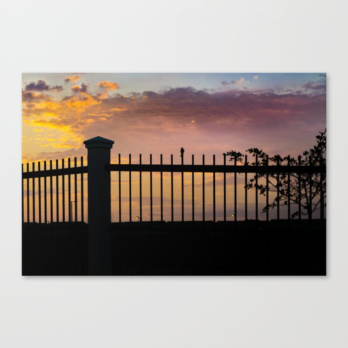 High Contrast Silhouette Sunset Scene With Small Bird Over Fence And Orange And Blue Background Canvas Print By Danflcreativo