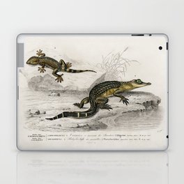 Alligator & Lilford'swall lizard  Laptop Skin