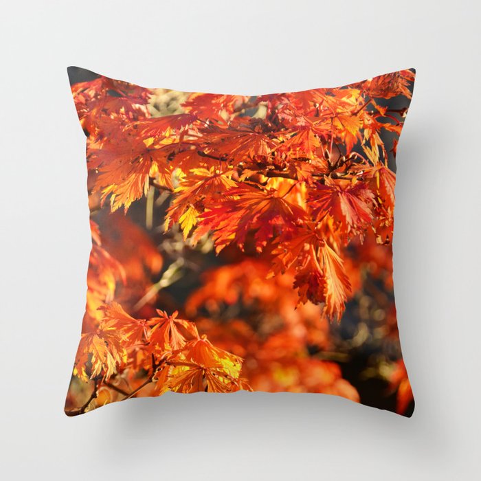 Autumn Colors 5 Throw Pillow
