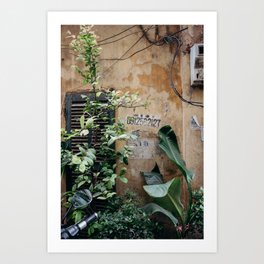 Tropical Alley Vibes Art Print