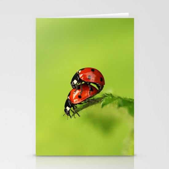 Ladybirds in spring Stationery Cards