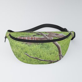 Eastern Bongo Fanny Pack