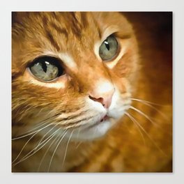 Adorable Ginger Tabby Cat Posing Canvas Print