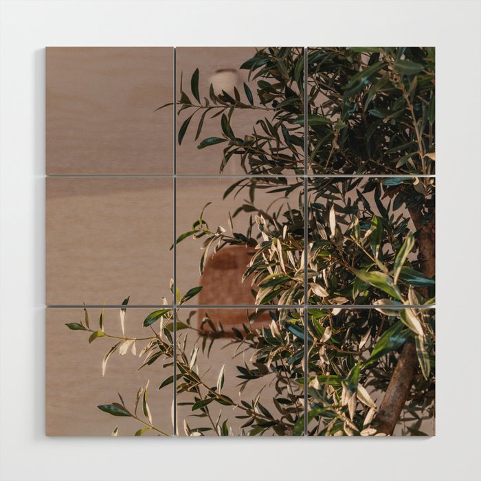 Olive Tree Still Live - Mediterranean Style Interior Photograph - Nature & Interior Photography Wood Wall Art