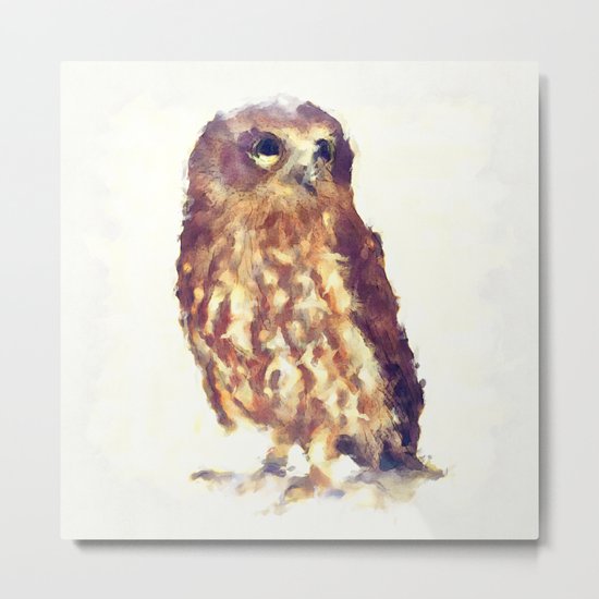 Gorgeous Baby Owl Metal Print