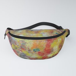 Cosmos Fanny Pack